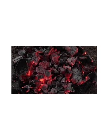 Carbone di Legna x Griglia 5 Kg