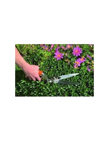 Forbice BAHCO Taglia Bordi x Erba...