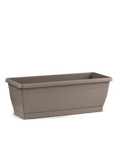 Cassetta Plastica Roxanne...