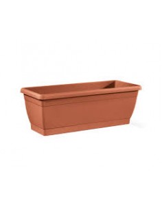 Cassetta Plastica Roxanne...