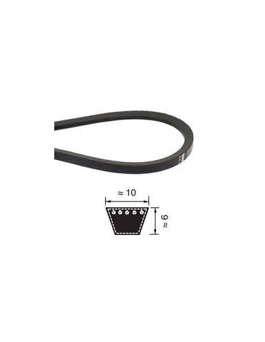 Cinghia Trapezoidale Z 67 (10x1702)