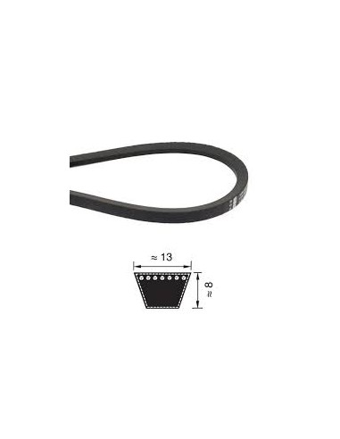Cinghia Trapezoidale A81 (13x8x2060 Mm) – Pix – Neoprene Per Uso Industriale