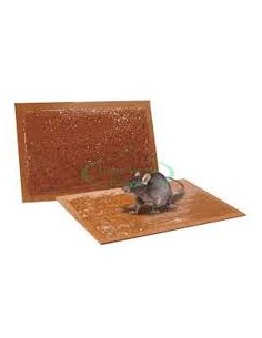 Tavoletta Adesiva ZAPI per...