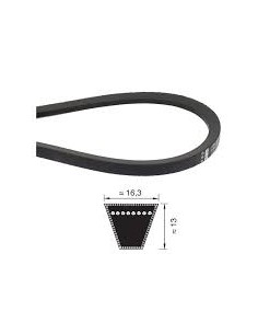 Cinghia Trapezoidale SPB...