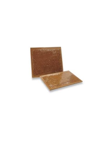 Tavolette Vischiose per Topi cm 19x14...