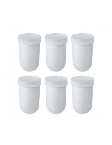 Ricarica Sali per Caldaia in Stick (6...